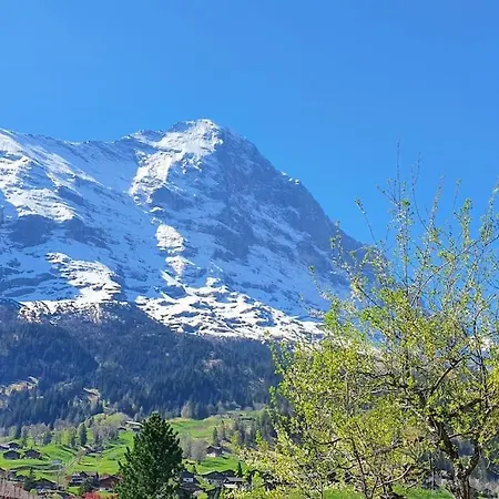 Bergnest Lägenhet Grindelwald