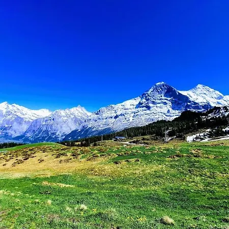 Bergnest Appartement