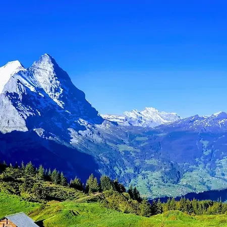 Lägenhet Bergnest Grindelwald