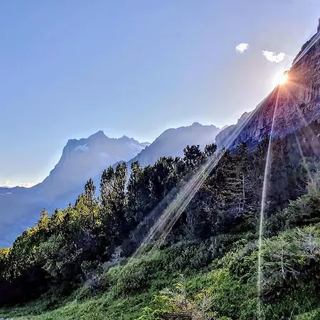 Bergnest * Grindelwald