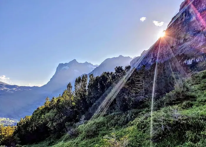 Bergnest * 格林德瓦