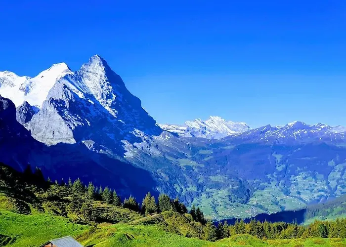 Apartman Bergnest Grindelwald