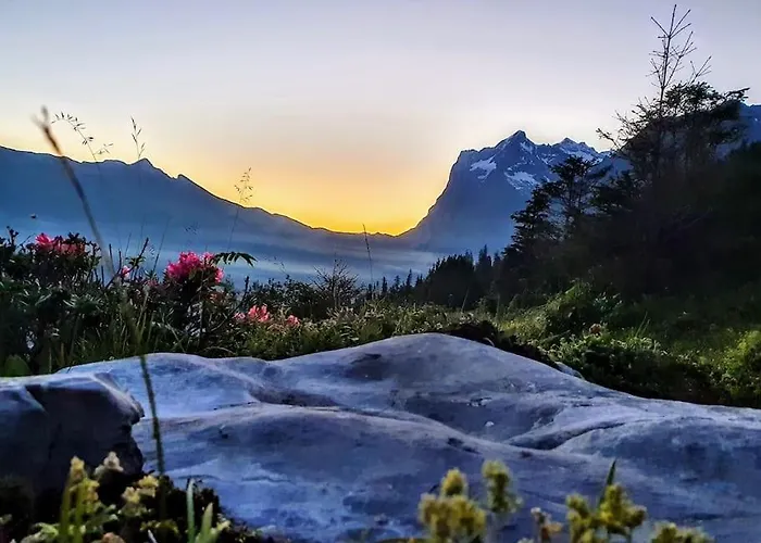 Apartman Bergnest Grindelwald